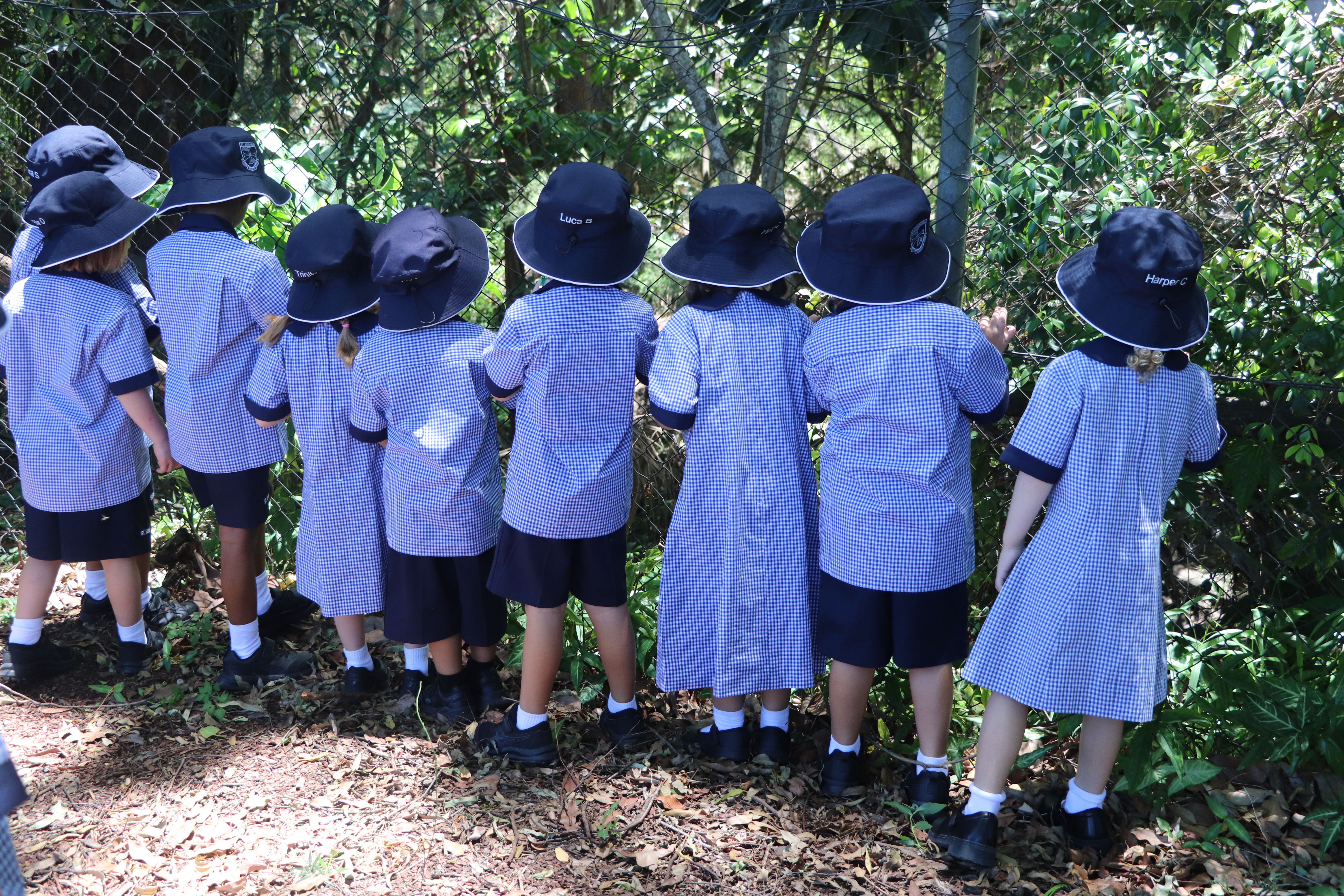 Students standing together outdoors near a bushland fence observing the environment highlighting curiosity nature based learning and engagement with the natural world